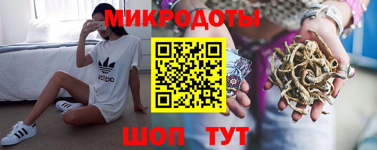Псилоцибиновые грибы GOLDEN TEACHER Кашира